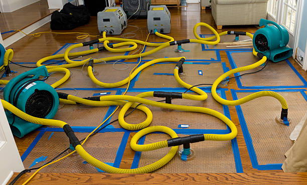 Professional Flood Damage Restoration technician working in Monticello, IN